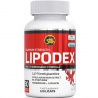Nová formule Lipodex elitní německé značky All Stars obsahuje synefrin (Citrus aurantium) a oproti své původní verzi je působení produktu o 26 % silnější.