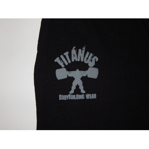 Logo titanus